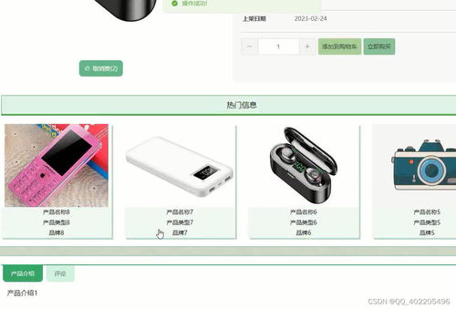 java springboot vue電子數碼產品商城推薦系統(tǒng)9wwcp